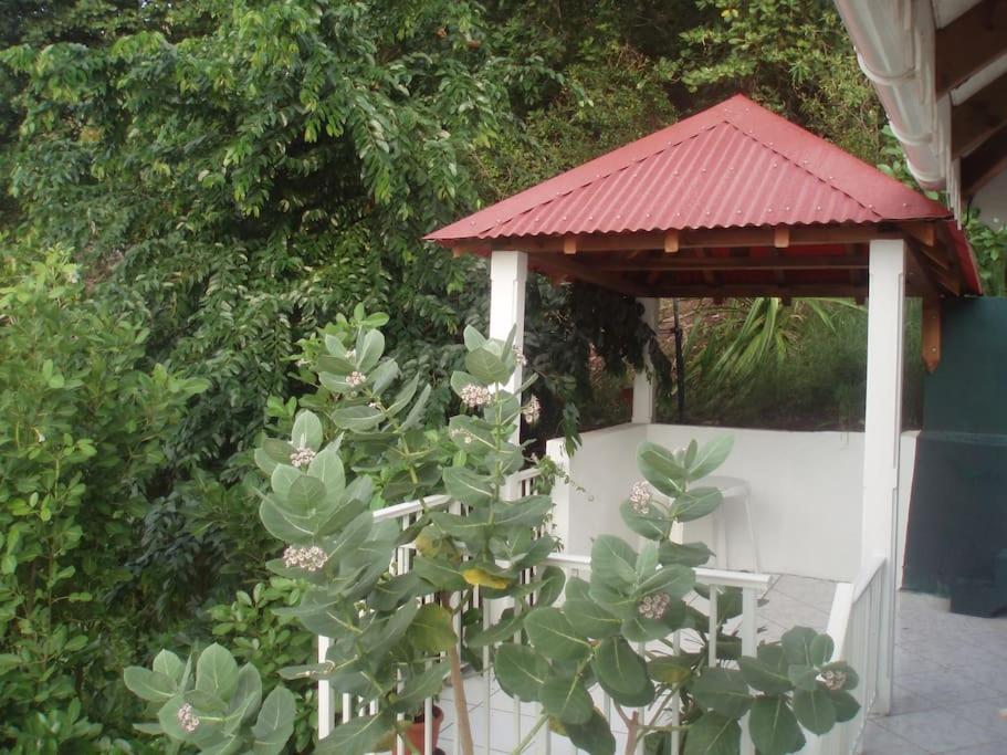 Studio De Charme Au Coeur Du Village, Belle Vue Baie Des Saintes, Proche Debarcadere Et Commodites Terre-De-Haut Exterior foto